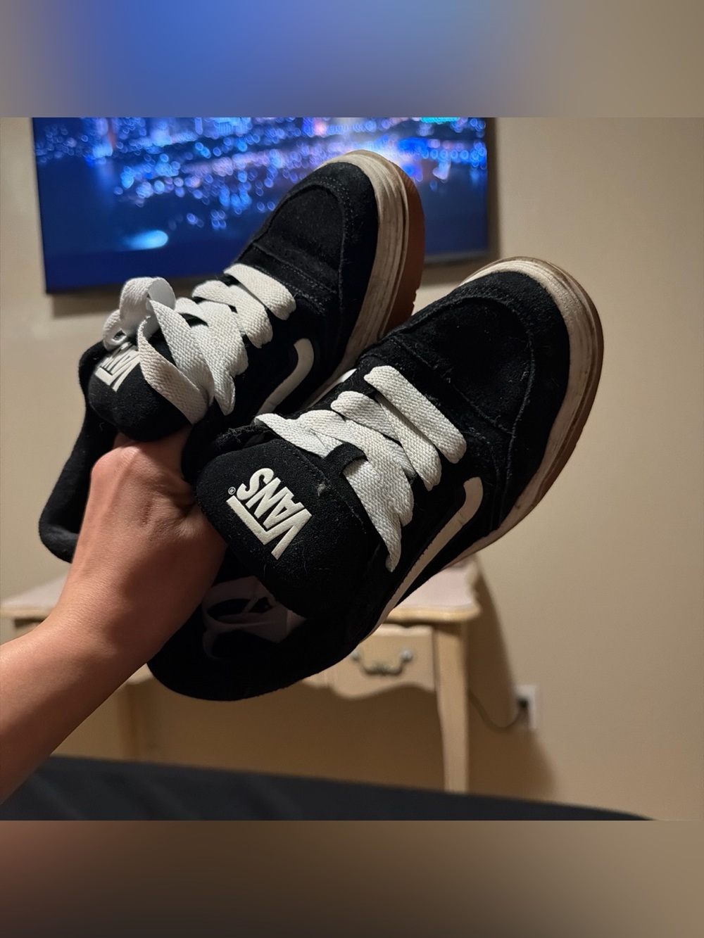 Vans Black and White Low-Top Skate Sneakers